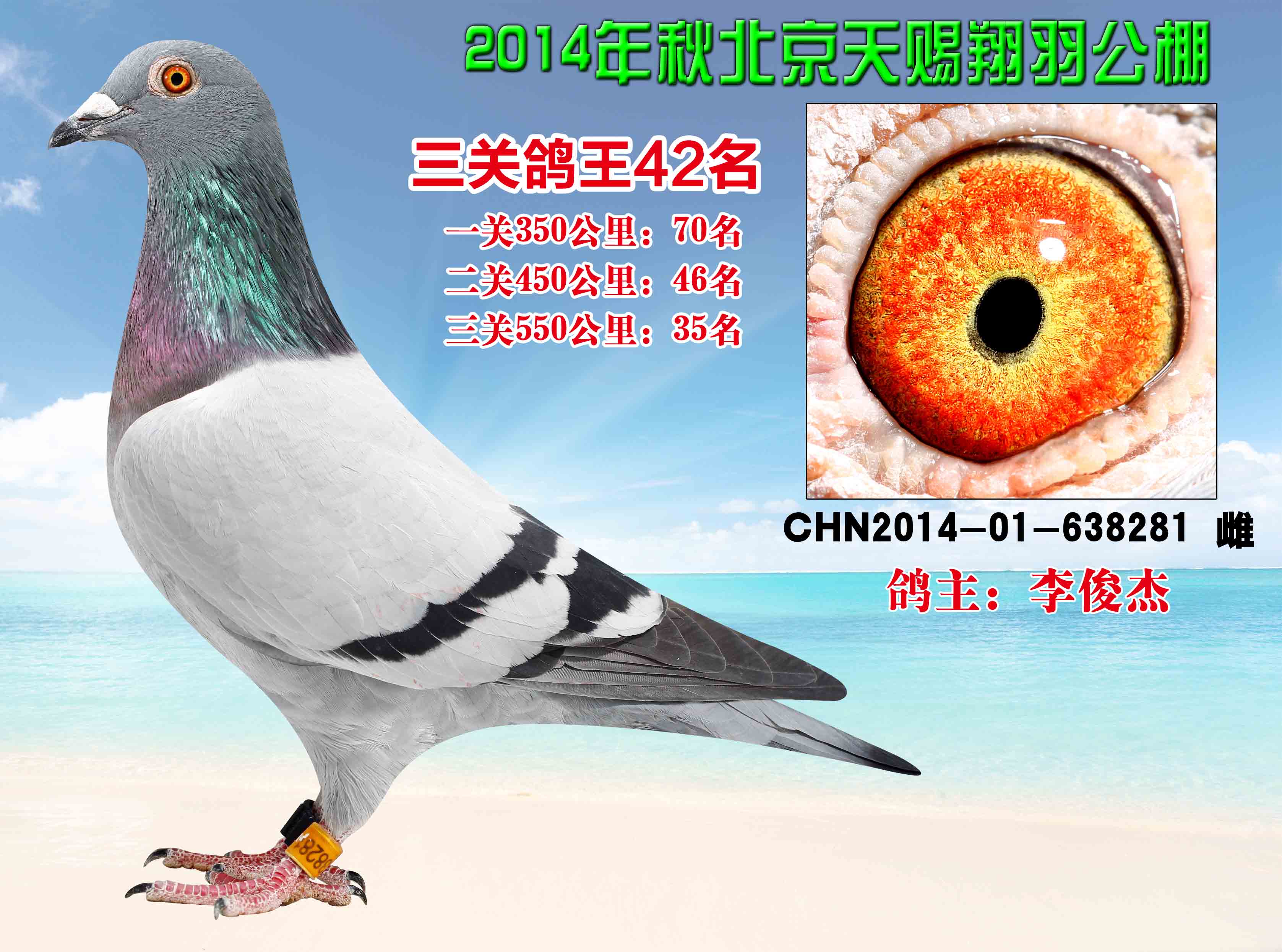 >> 查看拍卖商品