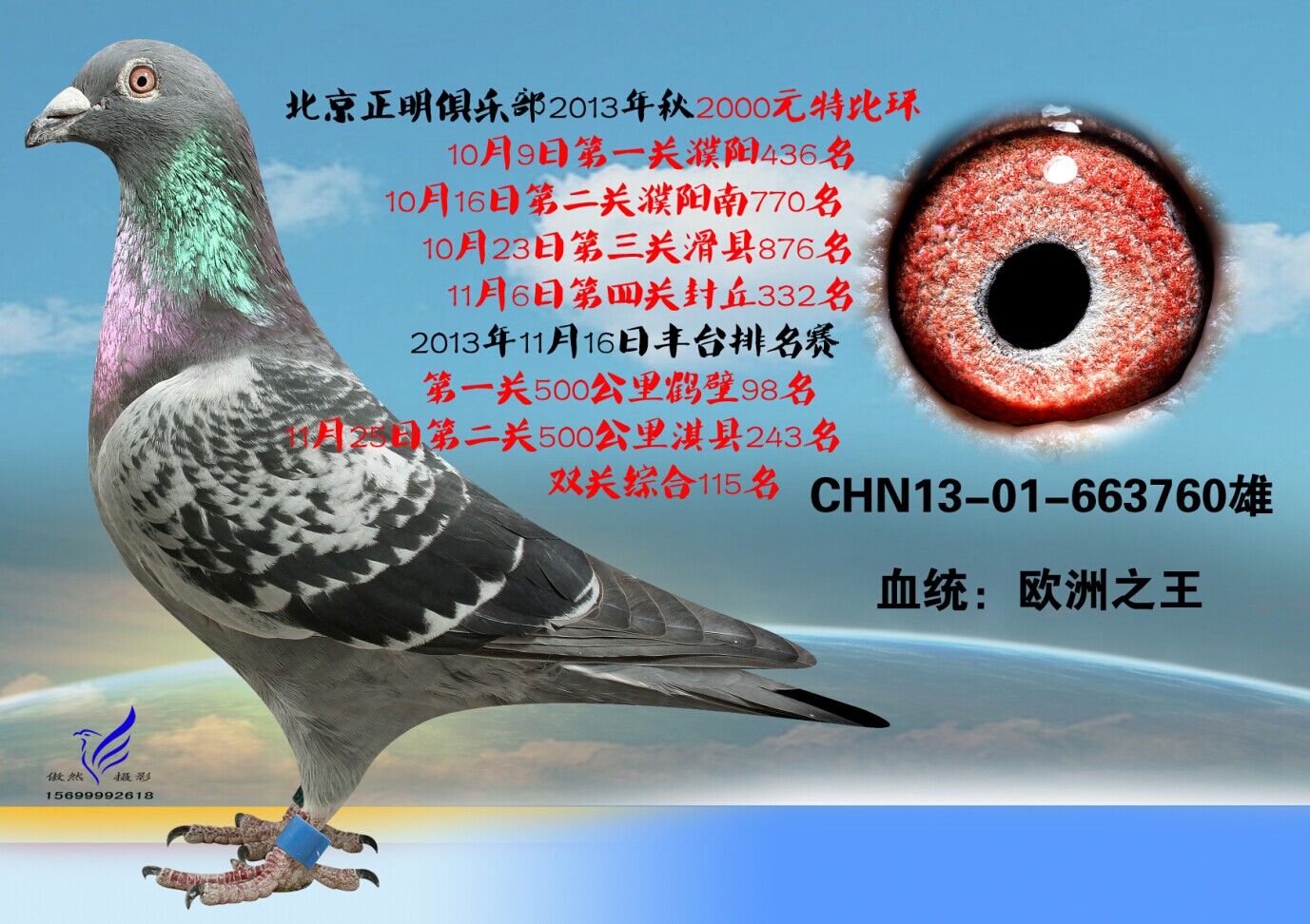 北京信鸽文化传媒 - 中信网铭鸽展厅 www.ag188.com