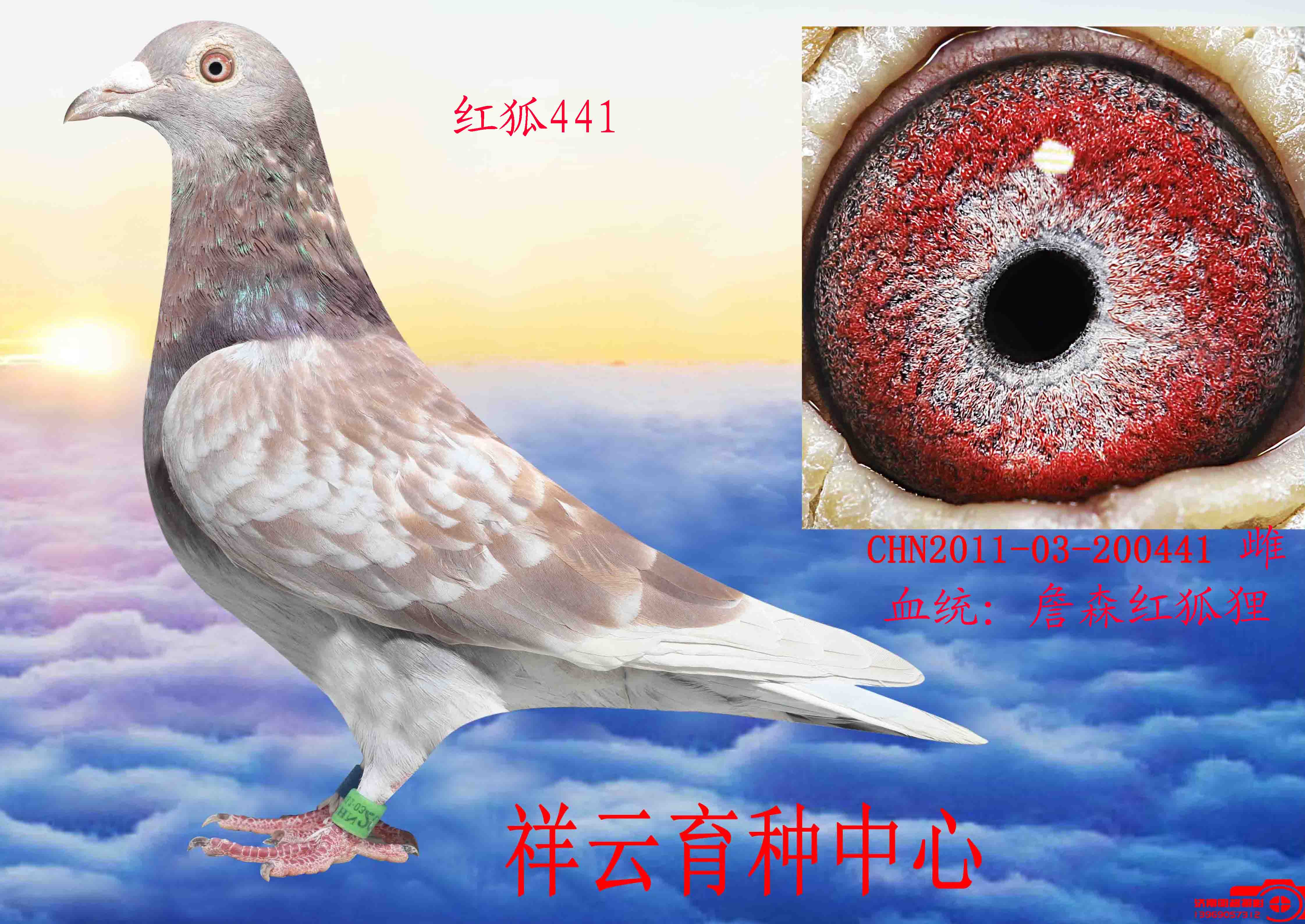 >> 查看拍卖商品