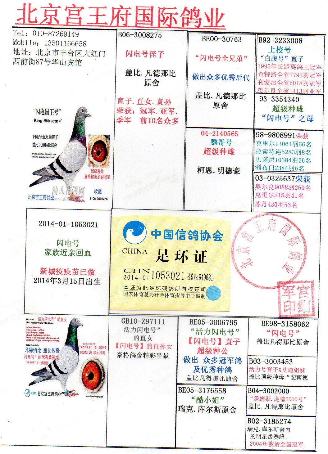 北京宫王府鸽业 - 中信网铭鸽展厅 www.ag188.com