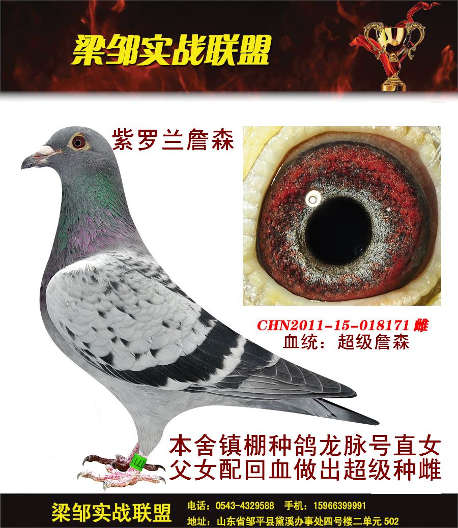 >> 查看拍卖商品