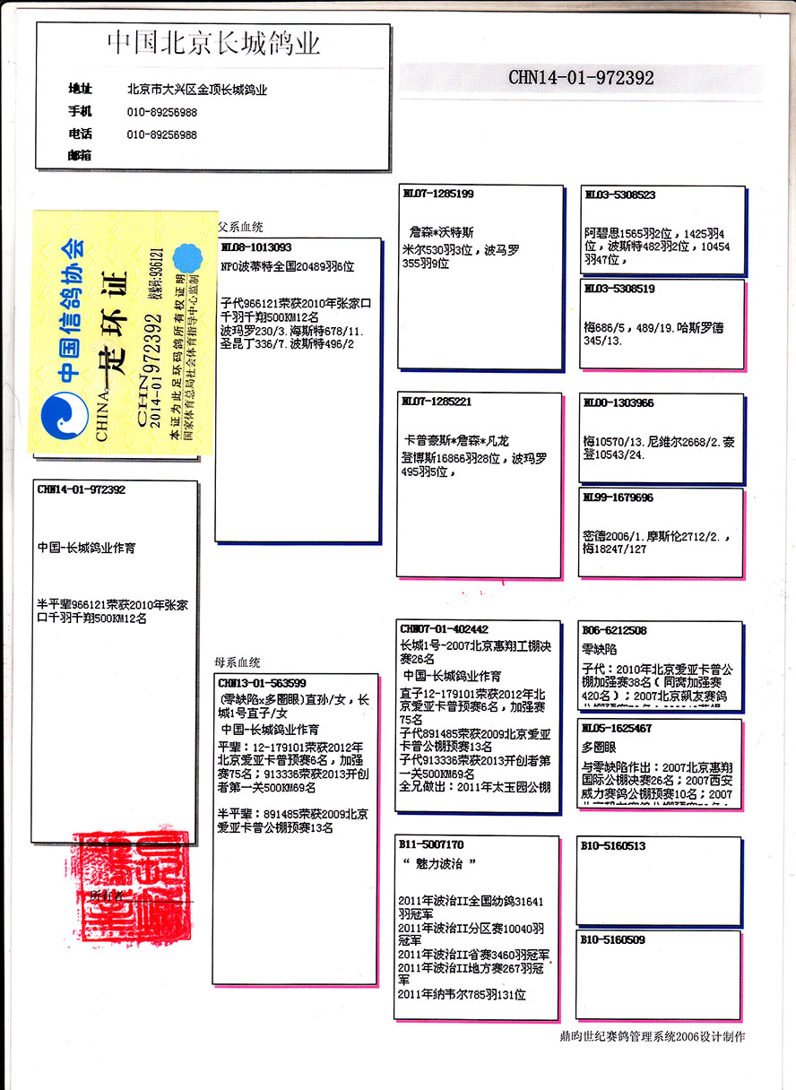 欧联国际赛鸽在线拍鸽