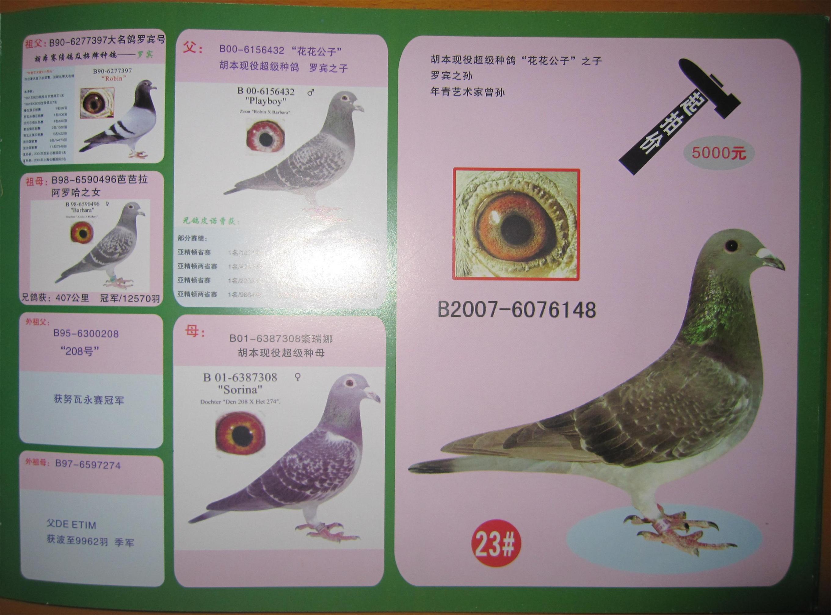 父(胡本148)拍卖手册