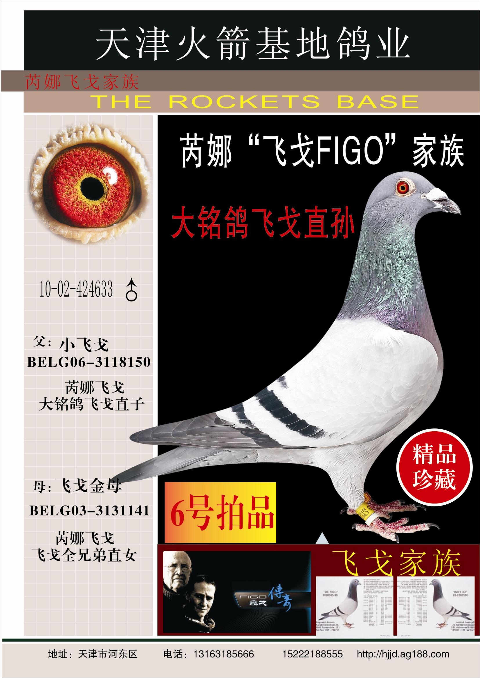 信鸽拍卖首页 拍卖专题 >> 查看拍卖商品 相关图片 目前尚无图片!