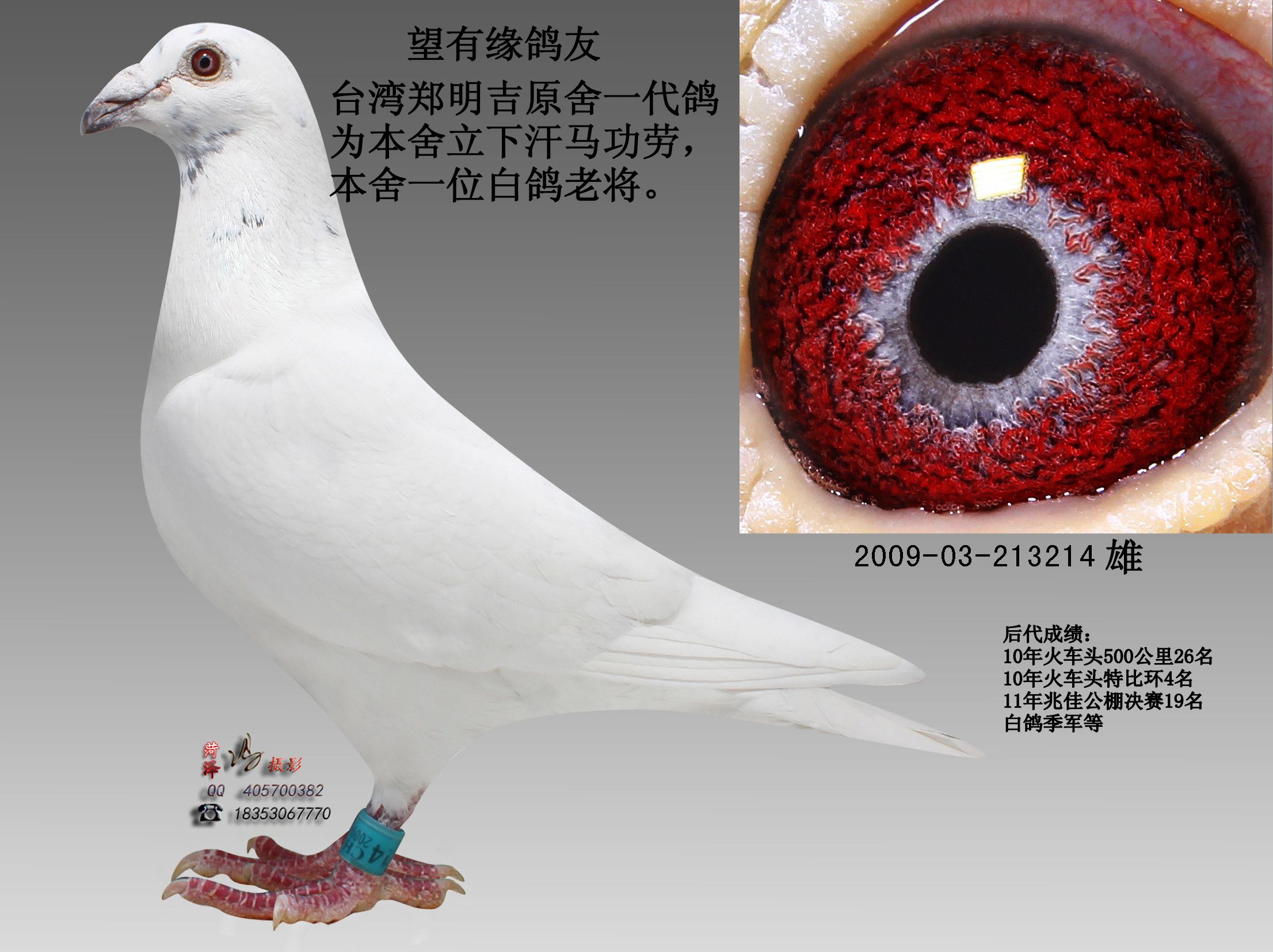 >> 查看拍卖商品