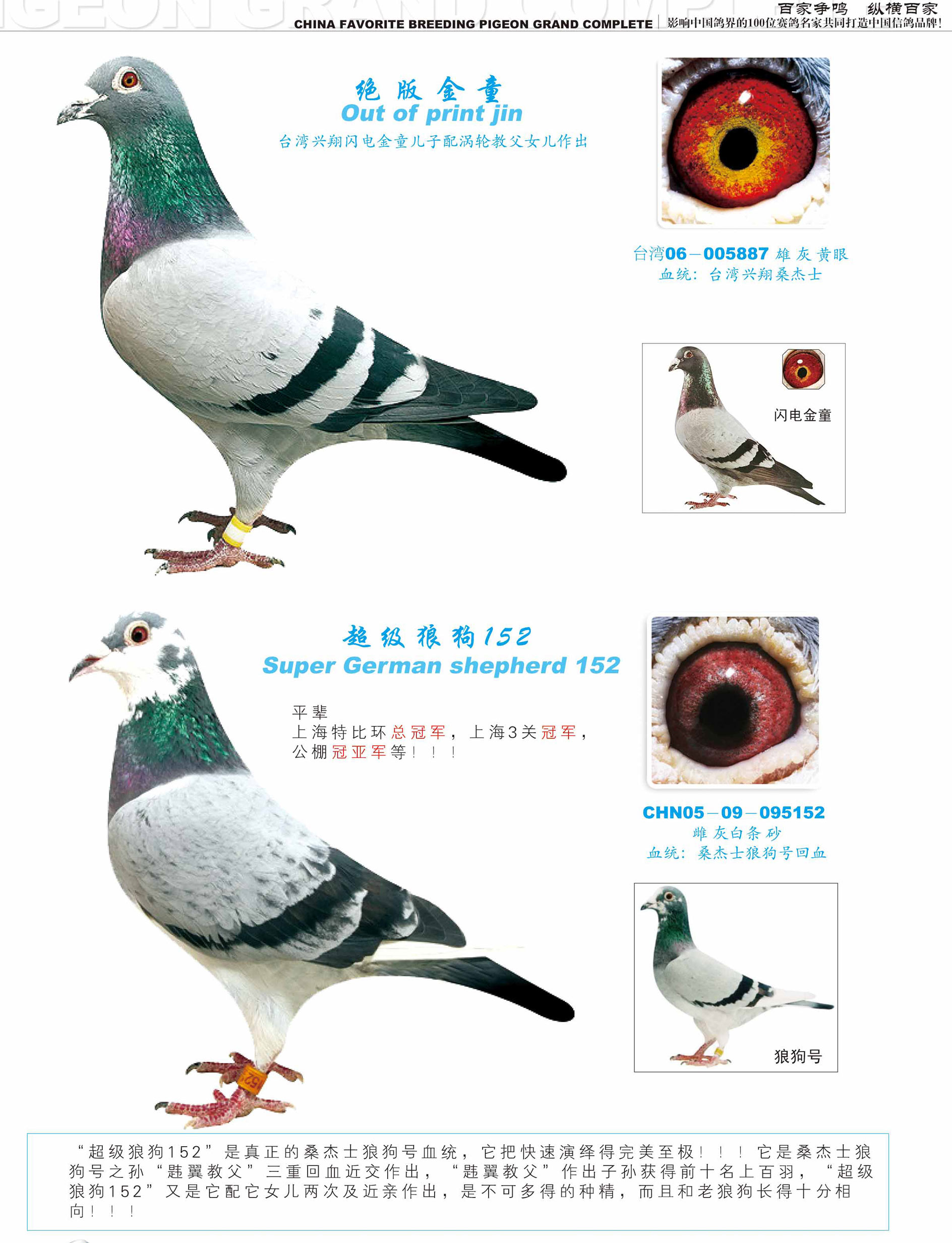 >> 查看拍卖商品