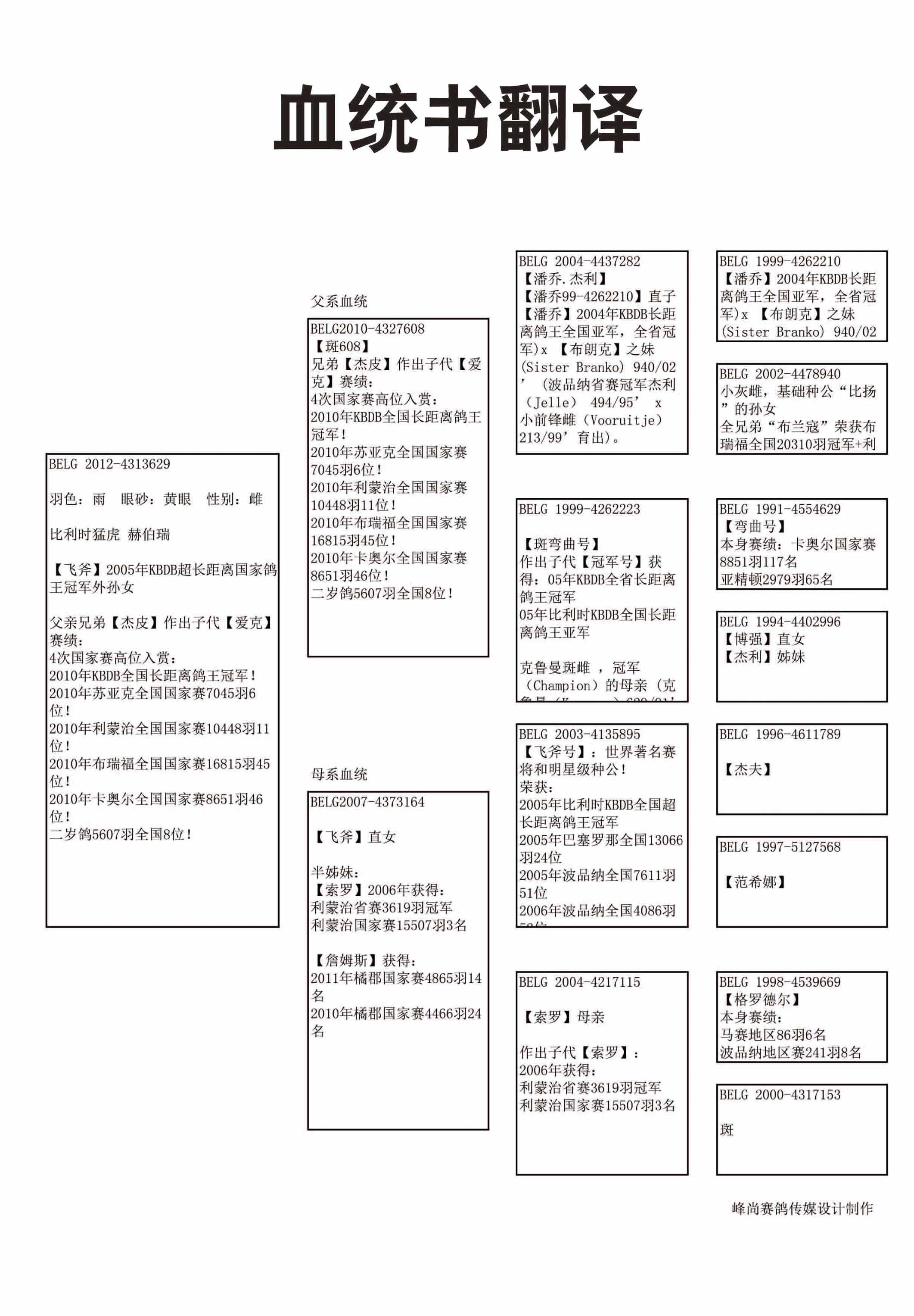 此鴿血統書翻譯