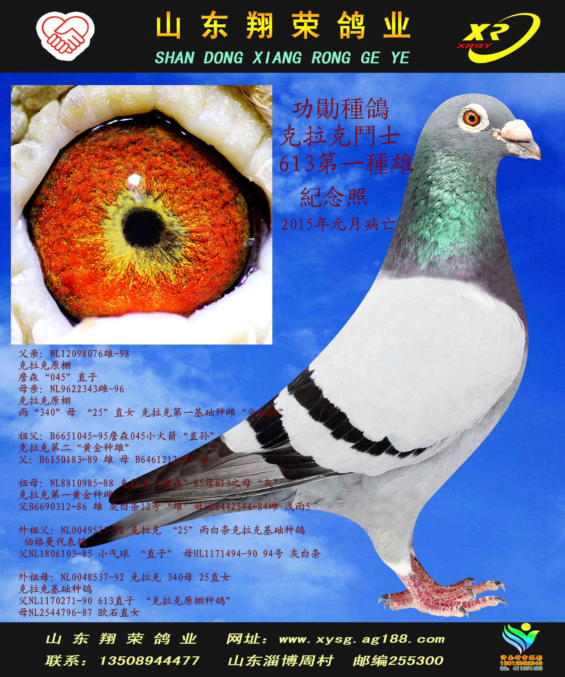 飞奴 号