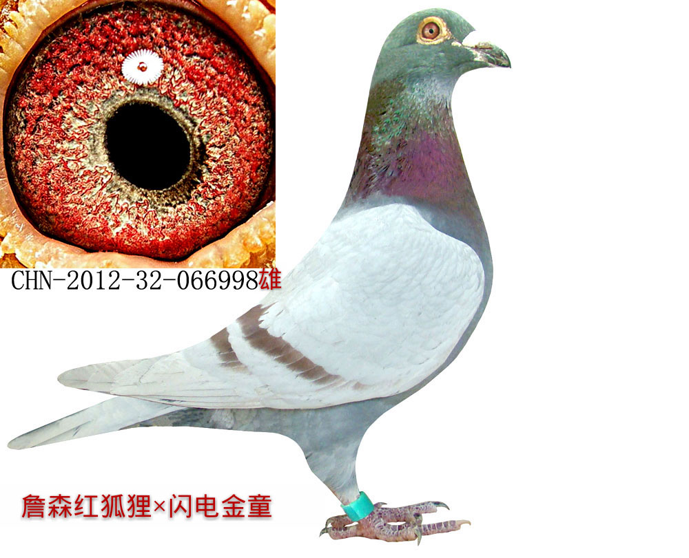 >> 查看拍卖商品
