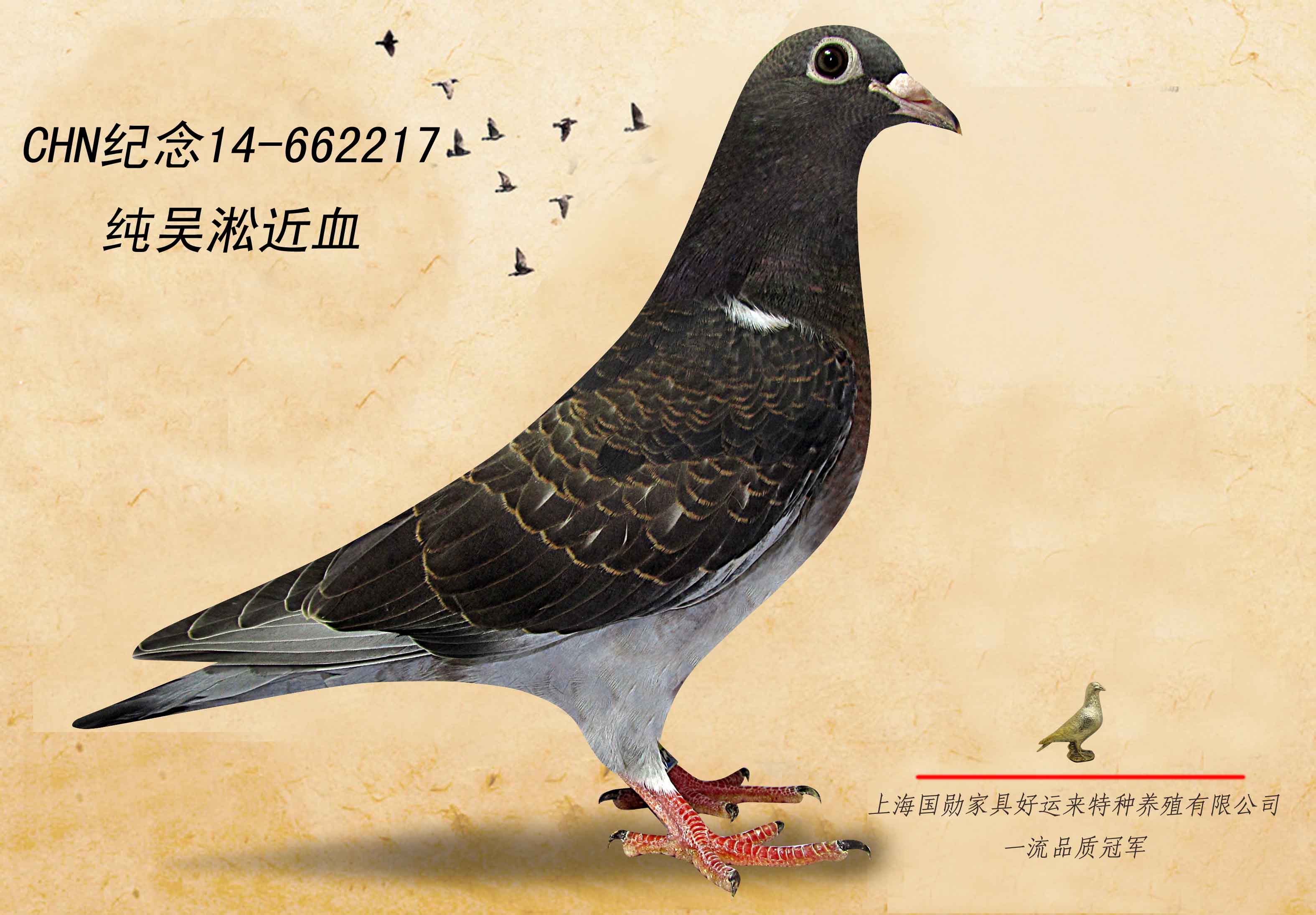 >> 查看拍卖商品