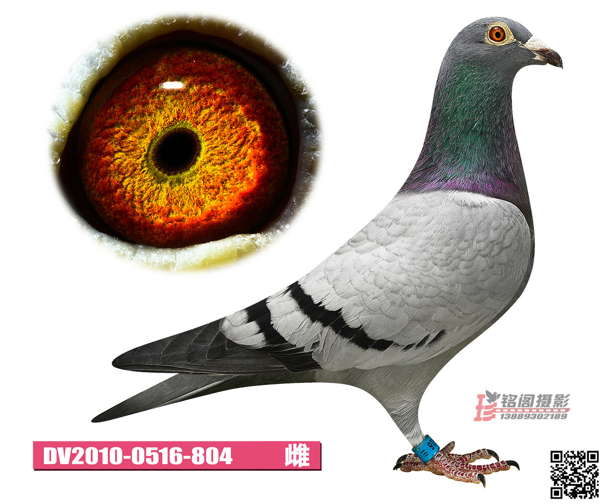 点击查看此商品大图片