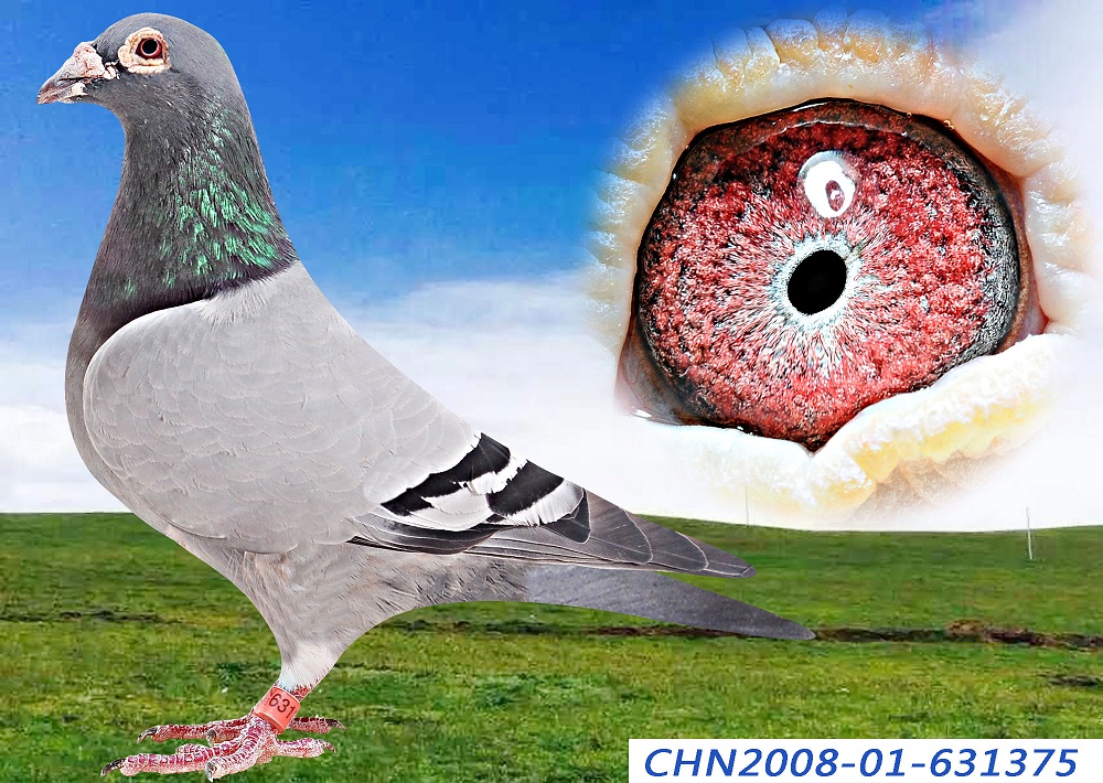 >> 查看拍卖商品