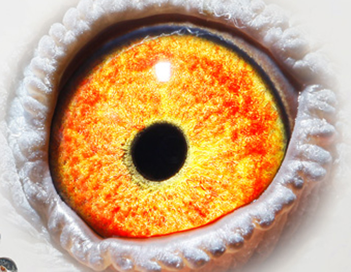 >> 查看拍卖商品