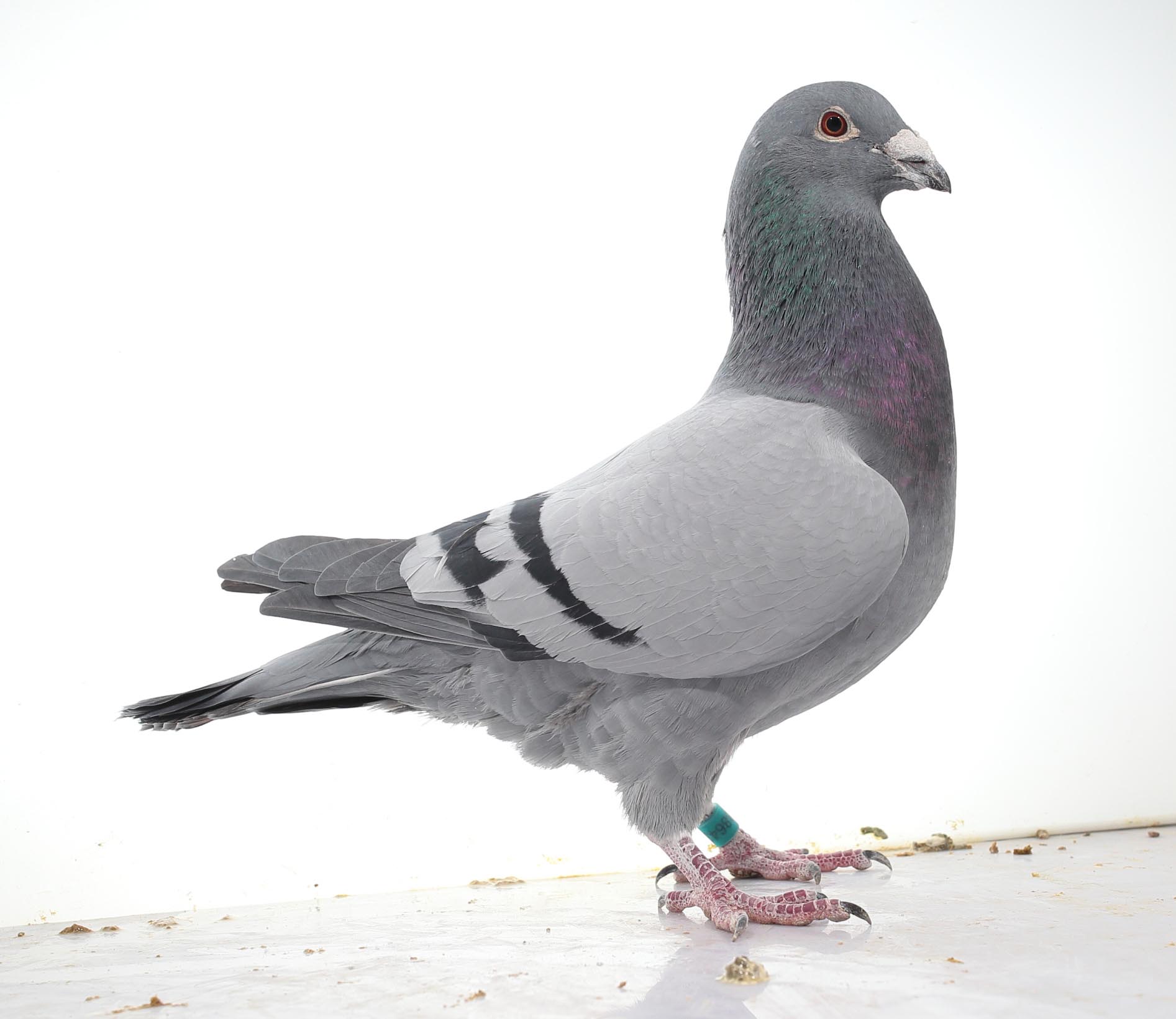 点击查看此商品大图片