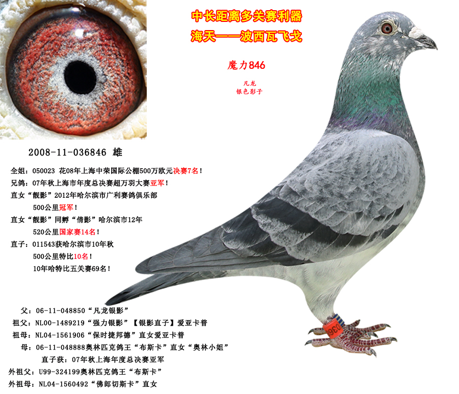 >> 查看拍卖商品