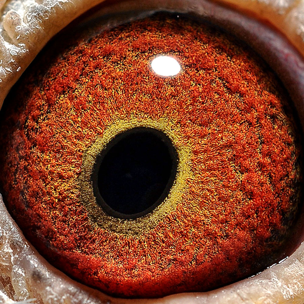 >> 查看拍卖商品