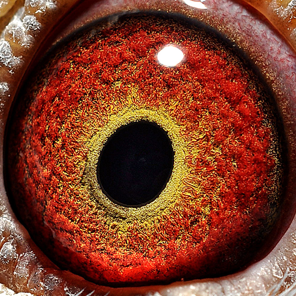 >> 查看拍卖商品