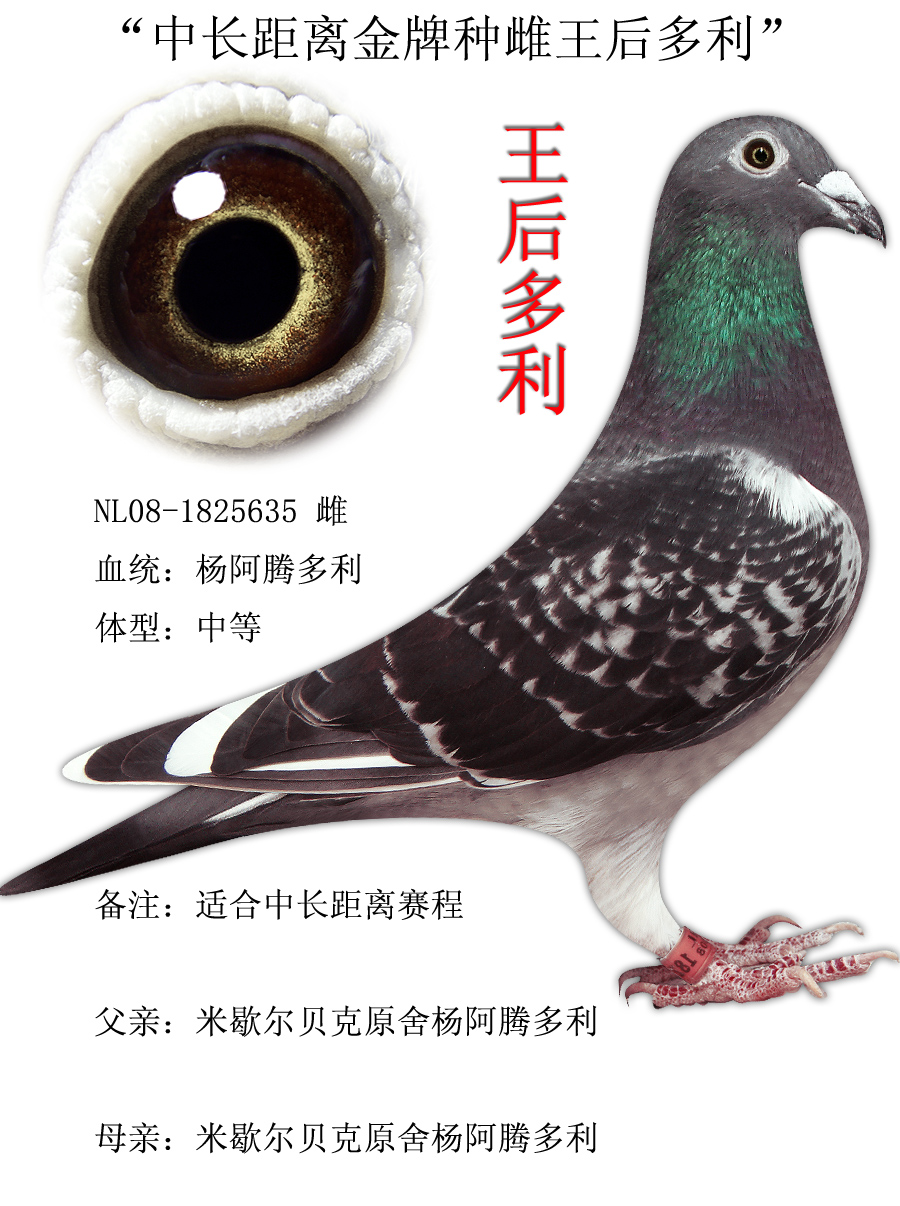 点击查看此商品大图片