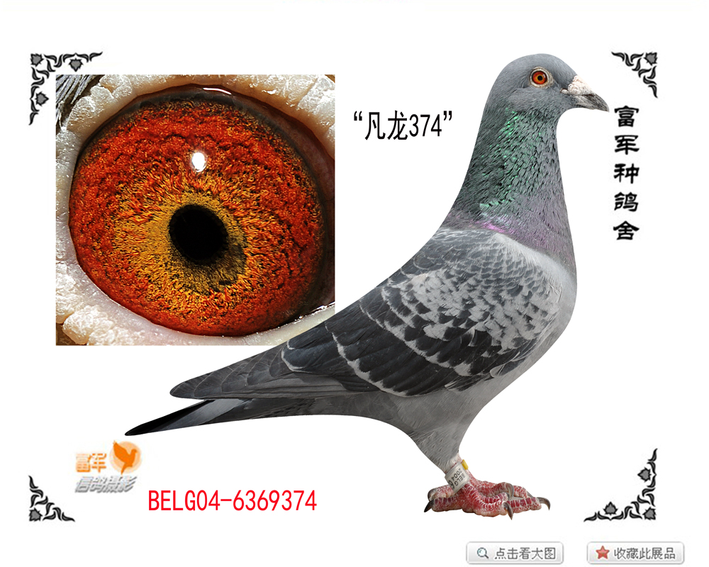 点击查看此商品大图片