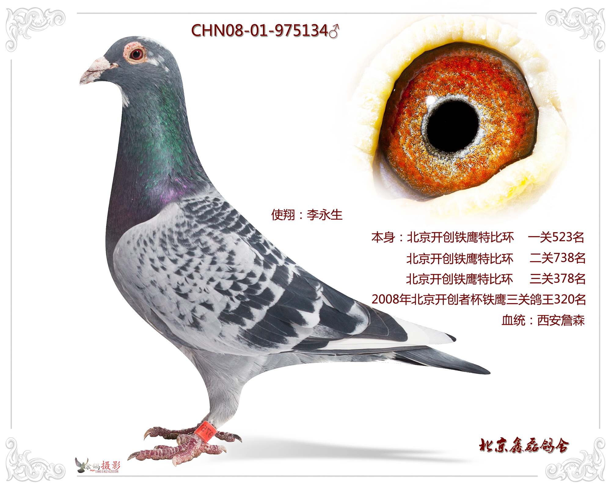 >> 查看拍卖商品