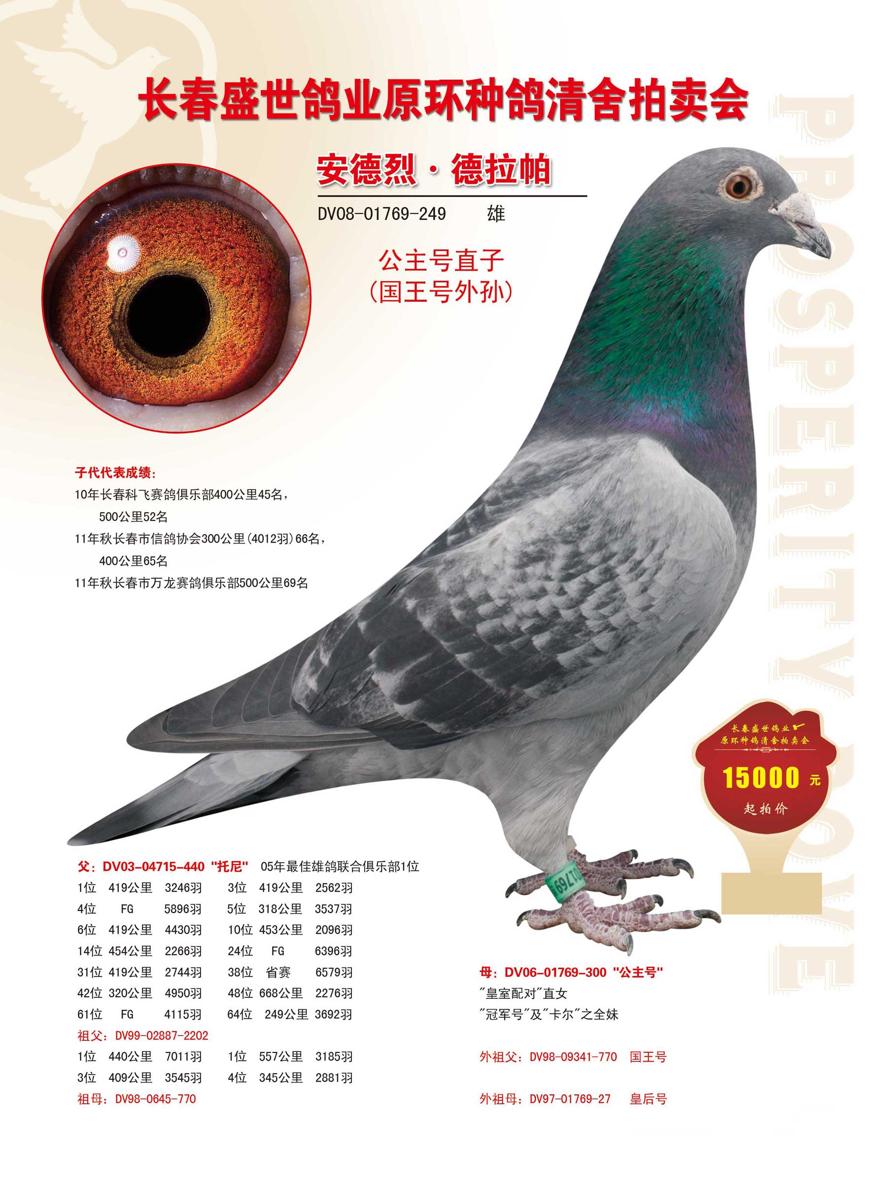 信鸽在线拍卖平台