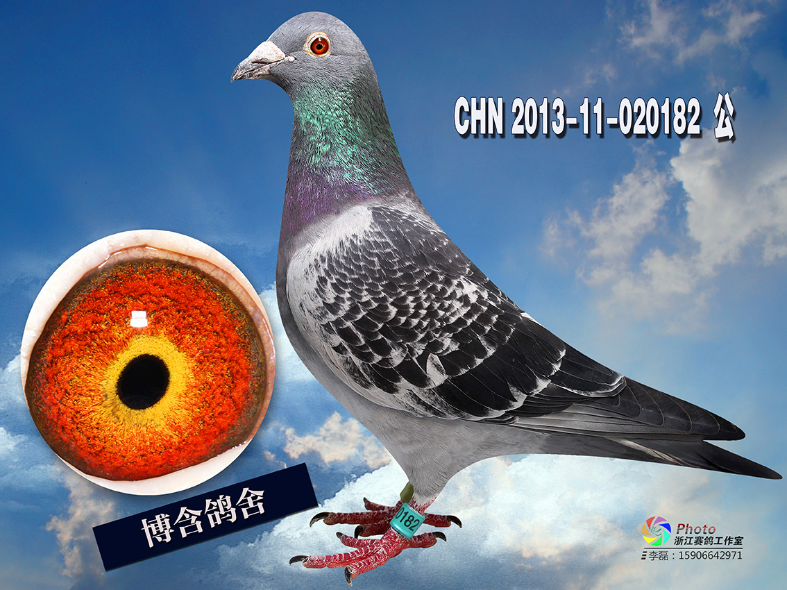 >> 查看拍卖商品