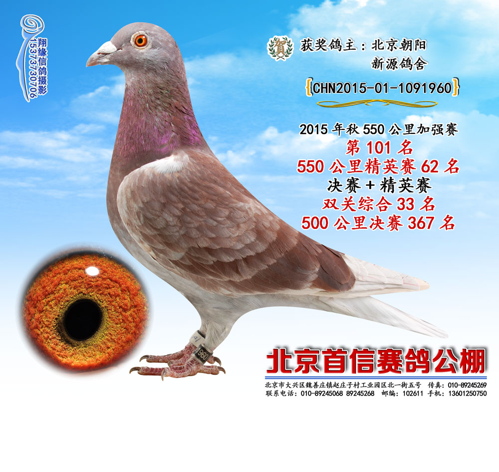 >> 查看拍卖商品