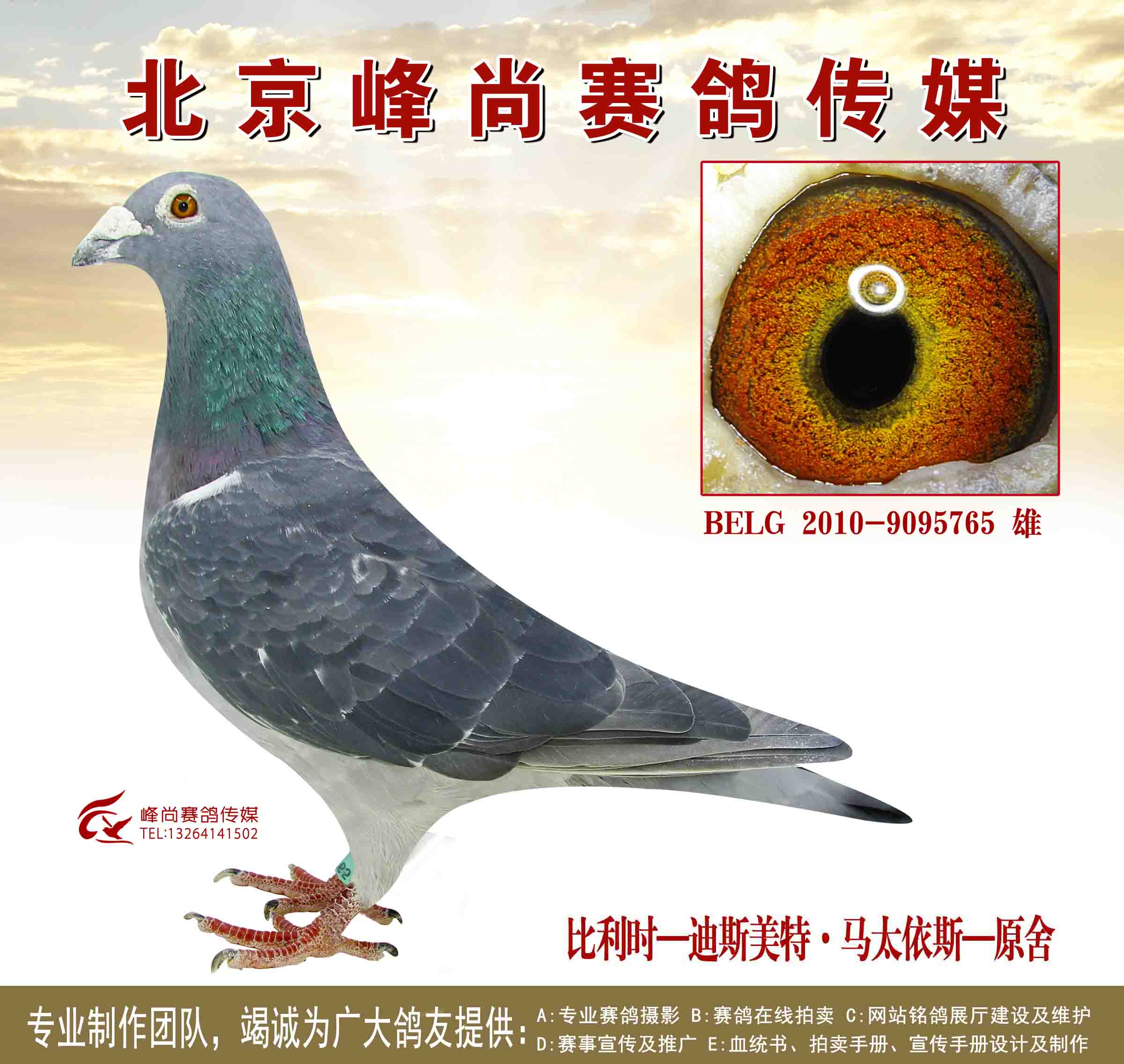 信鸽拍卖首页 拍卖专题 >> 查看拍卖商品 相关图片 目前尚无图片!