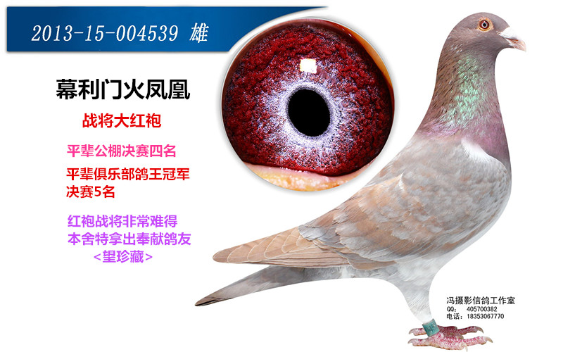 >> 查看拍卖商品