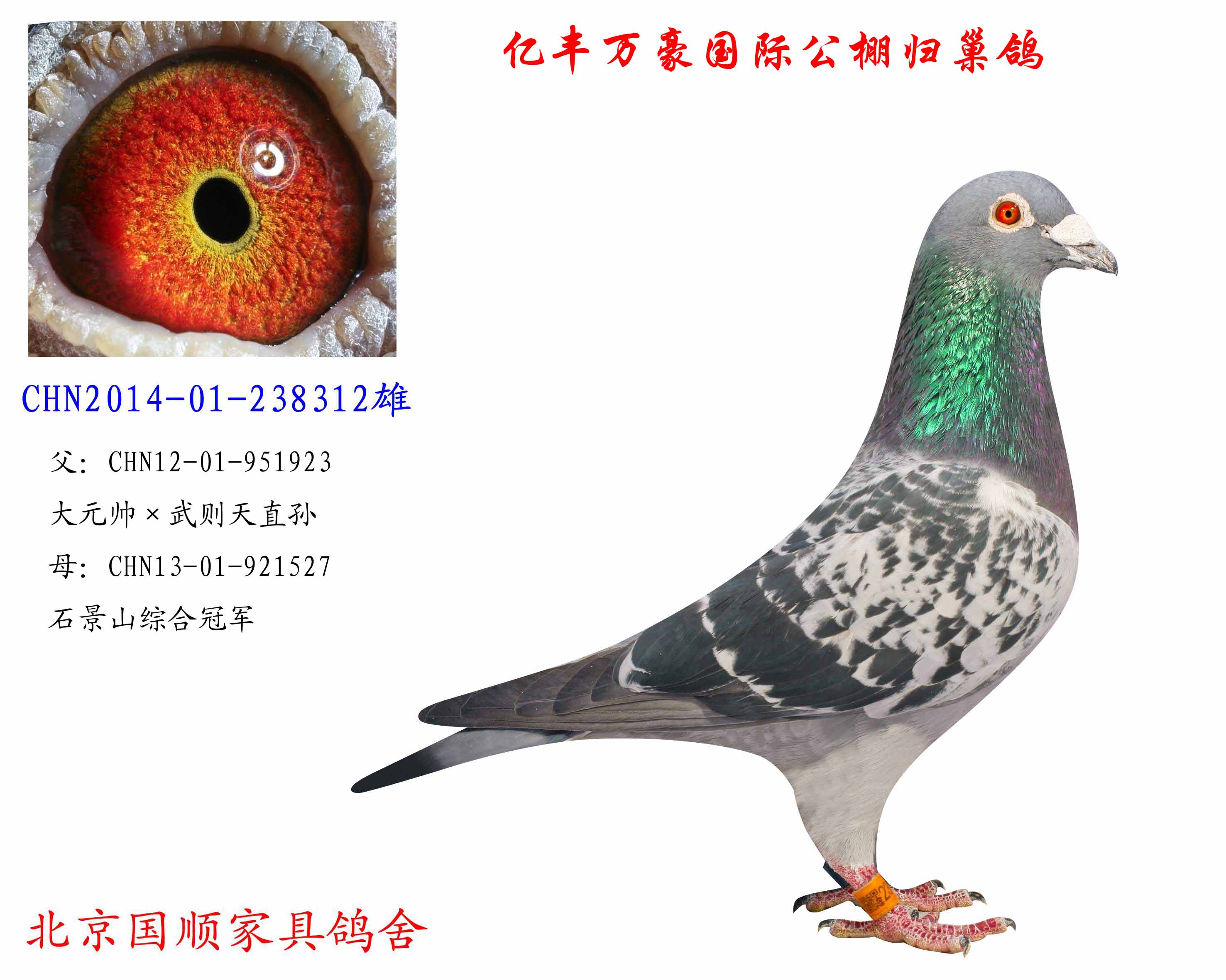 >> 查看拍卖商品