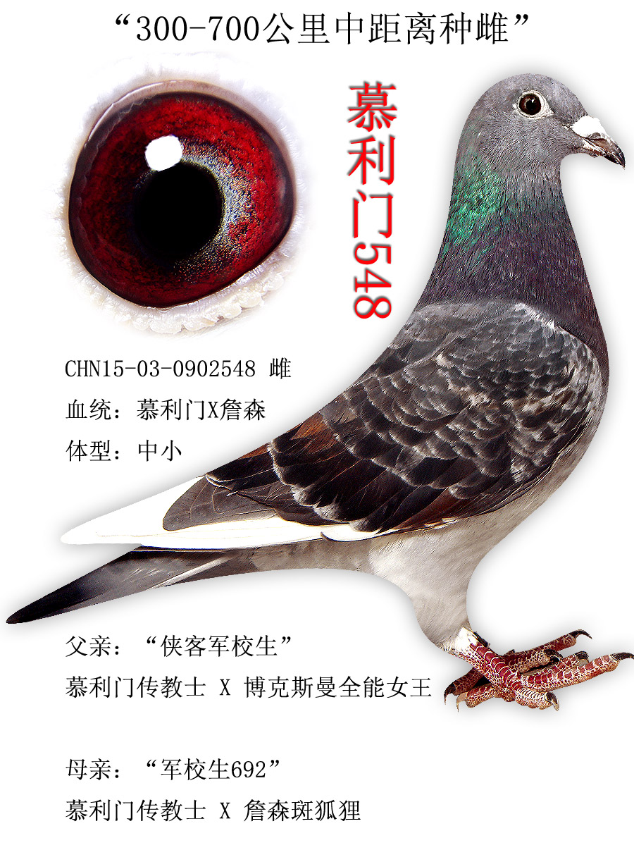 >> 查看拍卖商品
