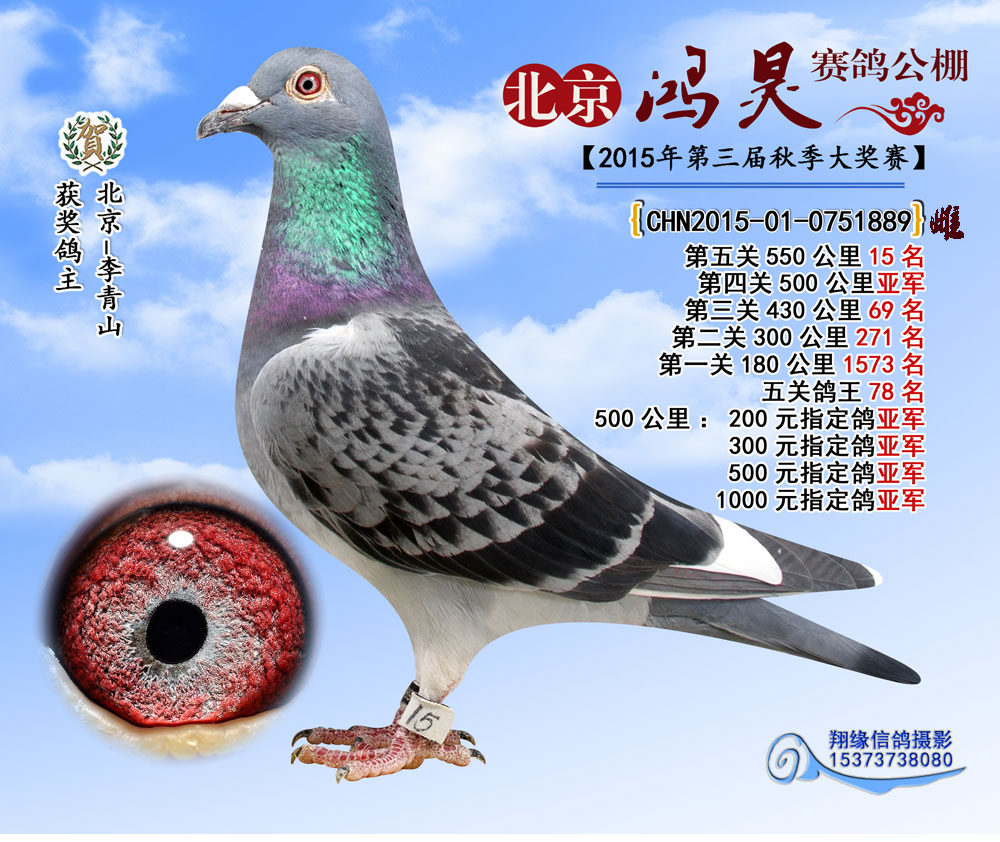 >> 查看拍卖商品