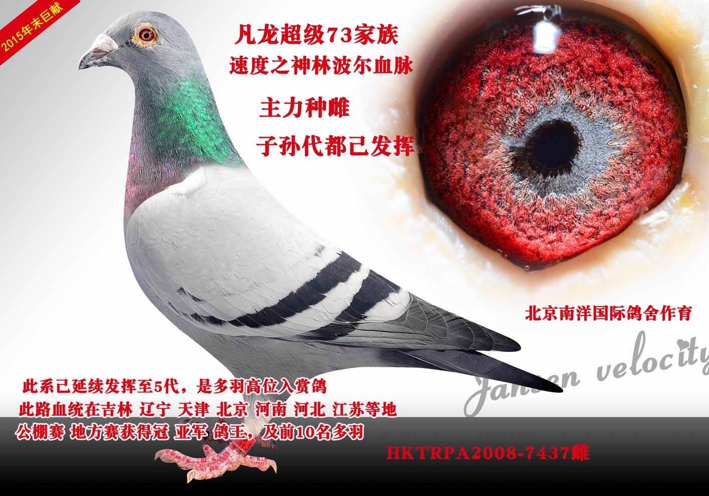 运输及特别提示