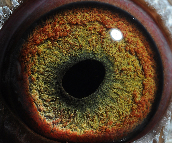 >> 查看拍卖商品