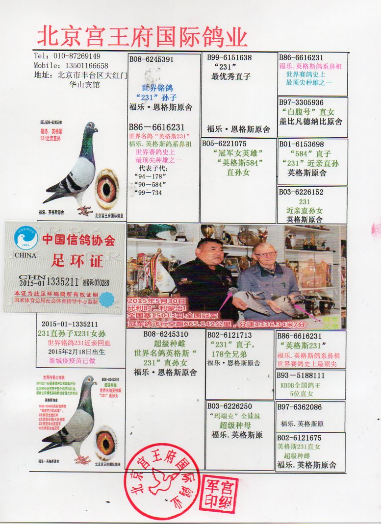 北京宫王府鸽业 - 中信网铭鸽展厅 www.ag188.com