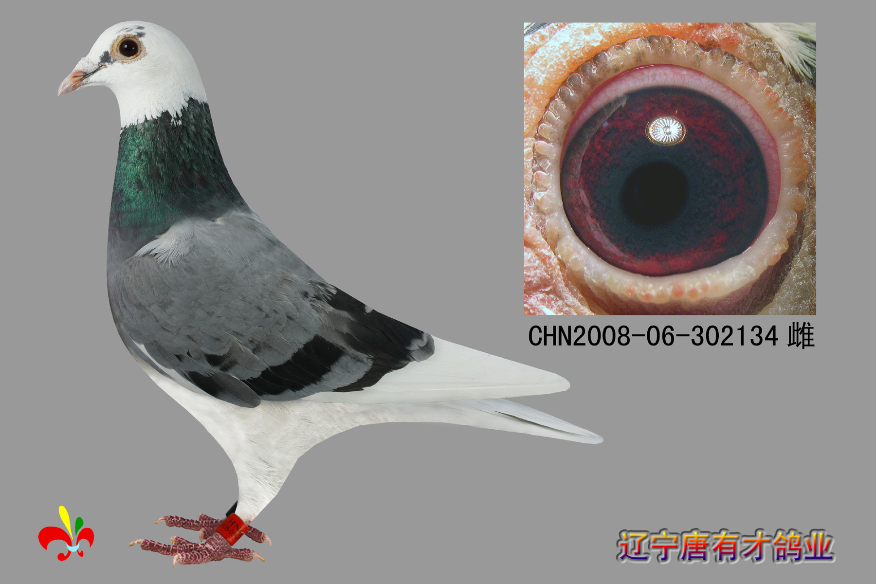 >> 查看拍卖商品