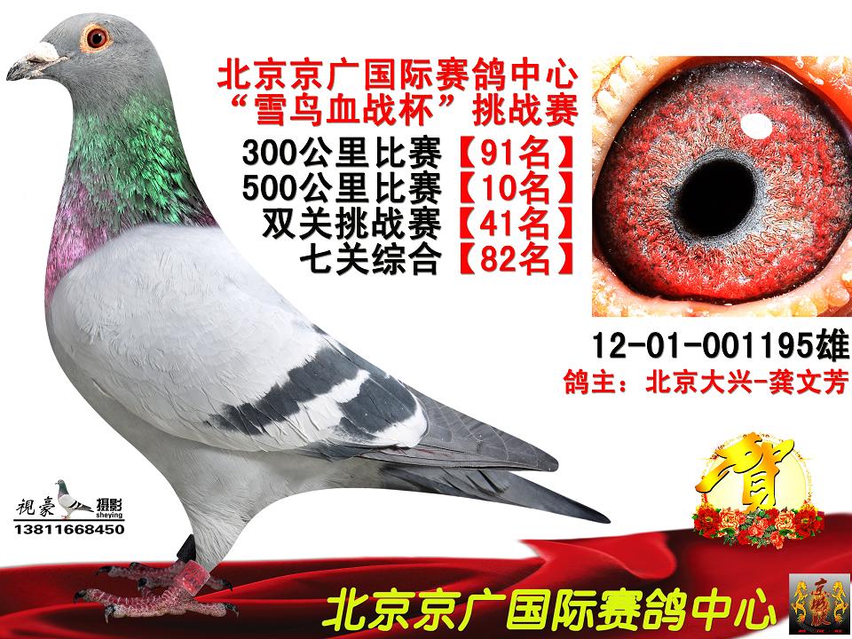 七关10名龚文芳参赛 保证金级 拍卖