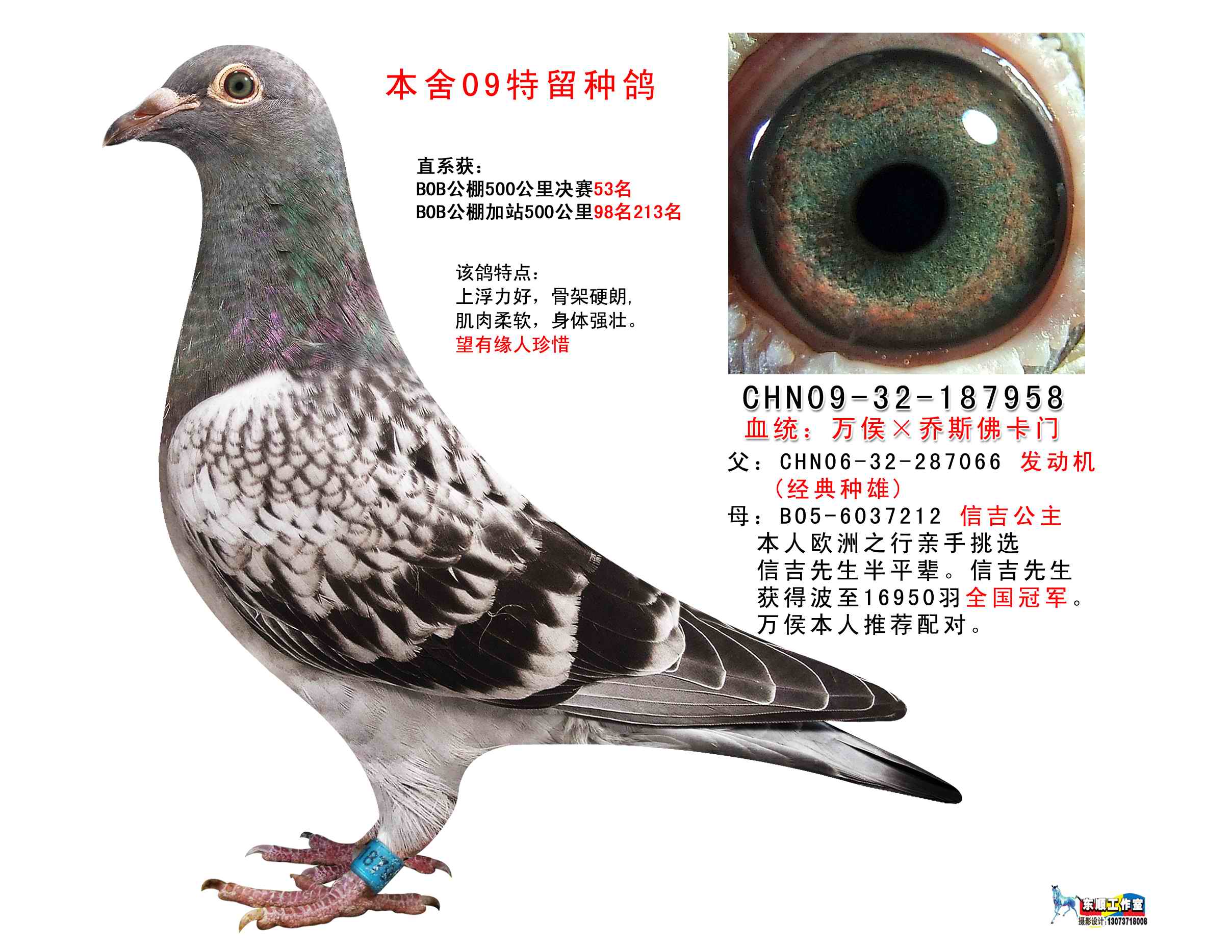 万侯×乔斯佛卡门 保证金级 拍卖