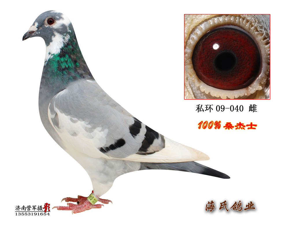 >> 查看拍卖商品