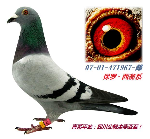 >> 查看拍卖商品