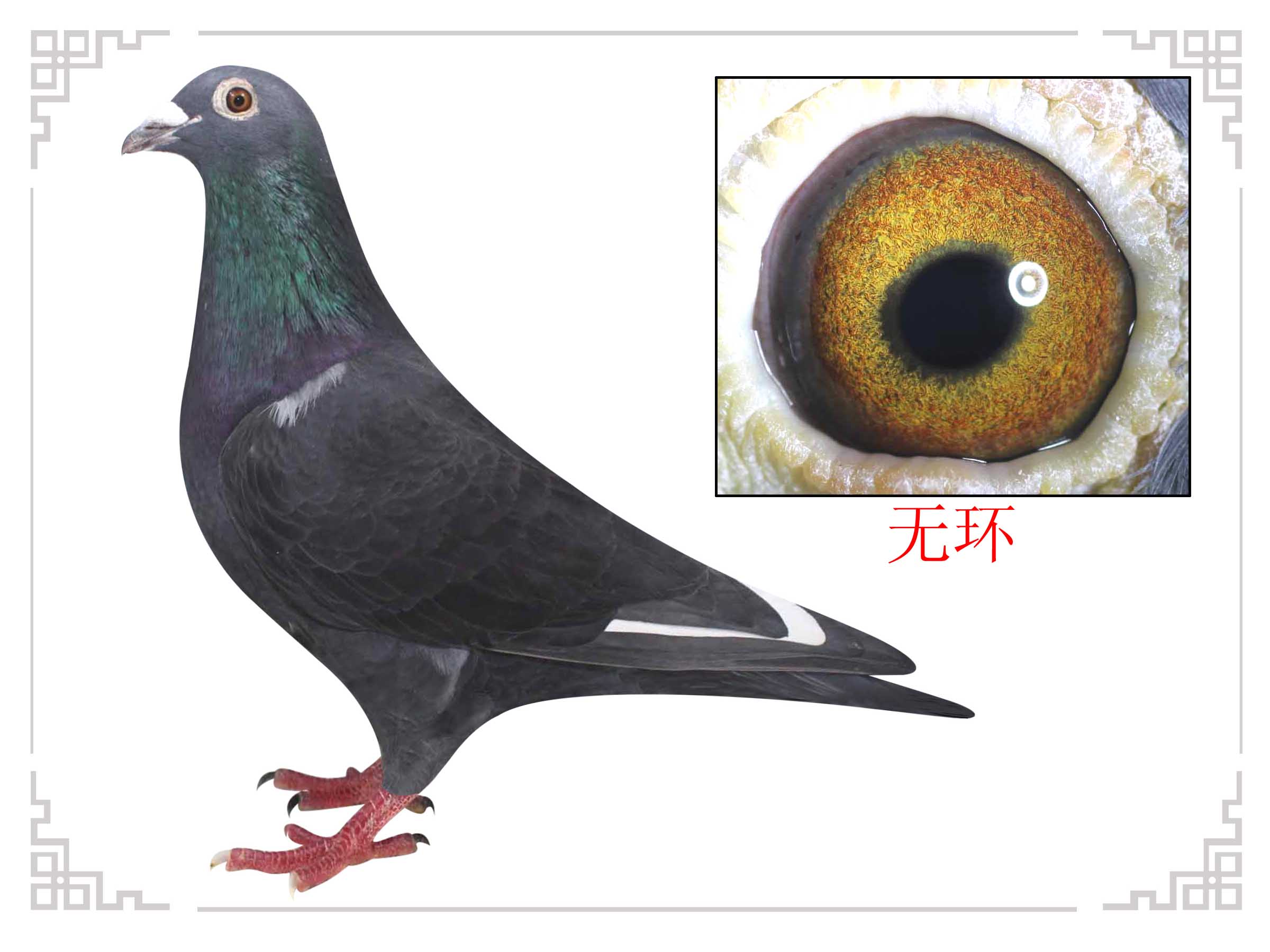 >> 查看拍卖商品