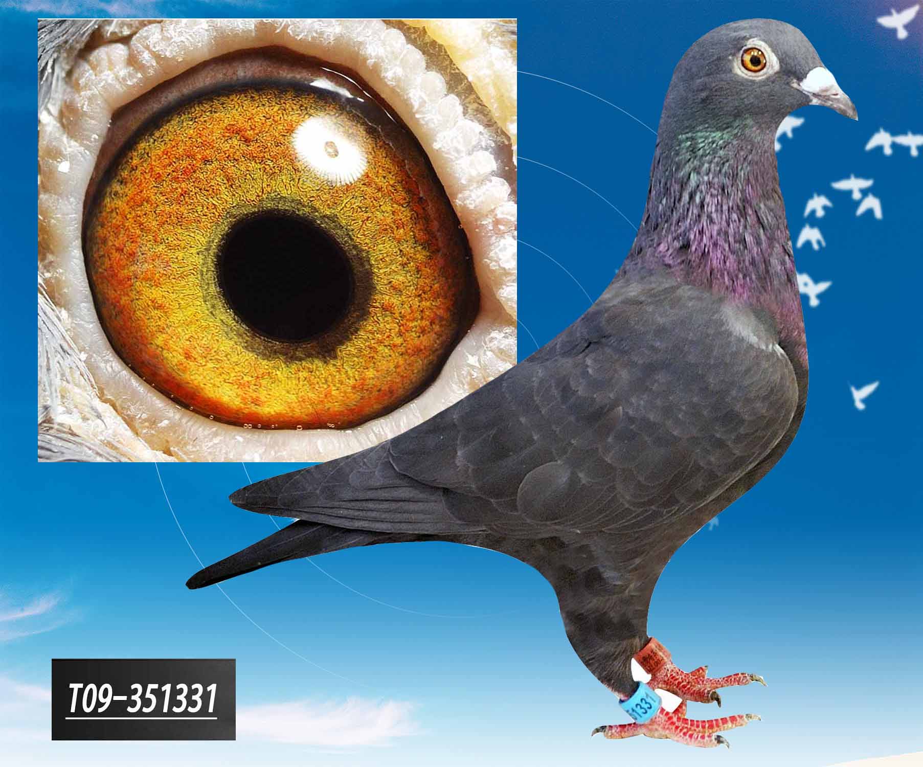 >> 查看拍卖商品