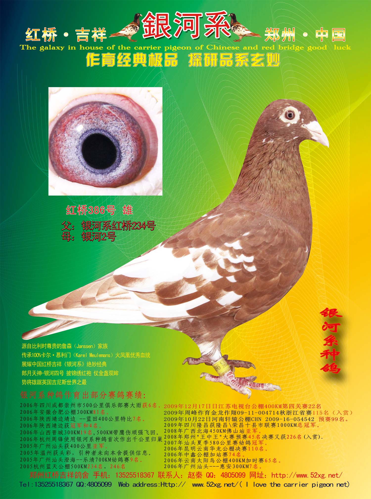 >> 查看拍卖商品