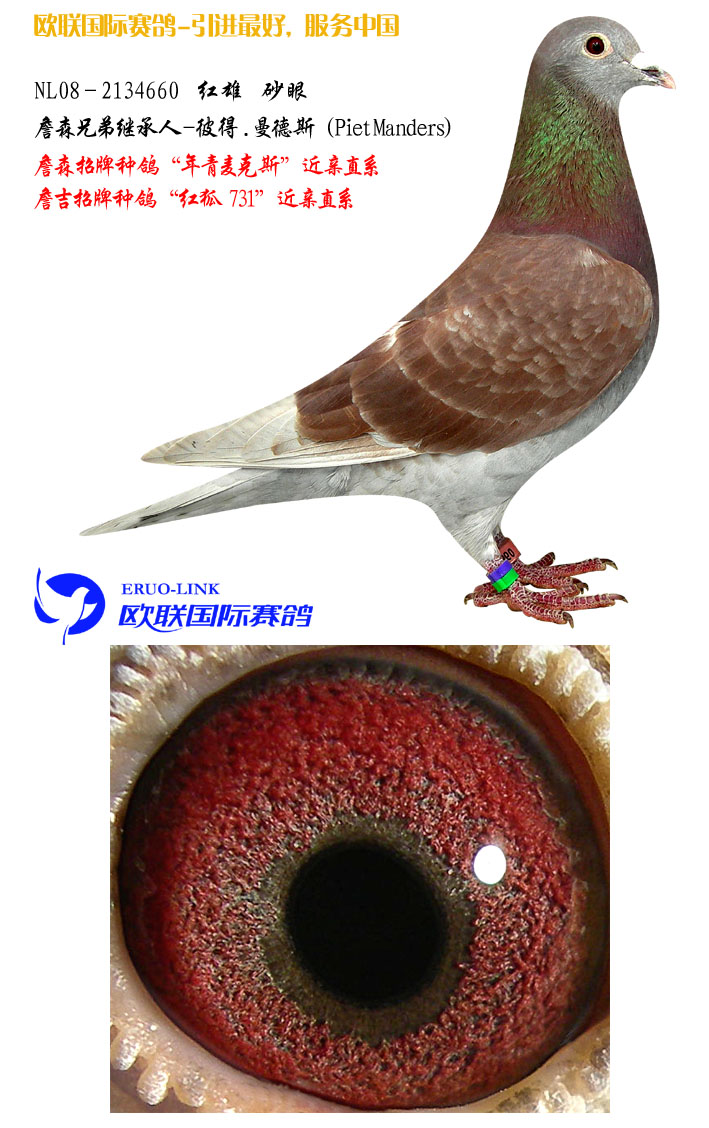 彼得.曼德斯红詹森雄 保证金级 拍卖