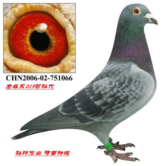 >> 查看拍卖商品