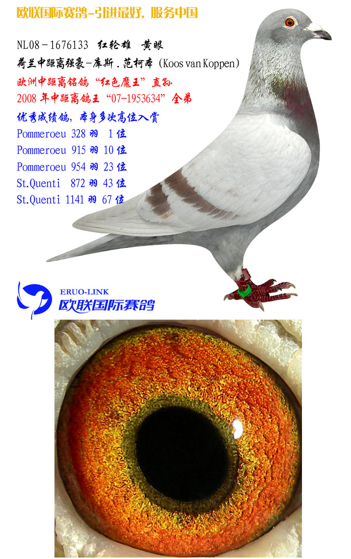 >> 查看拍卖商品