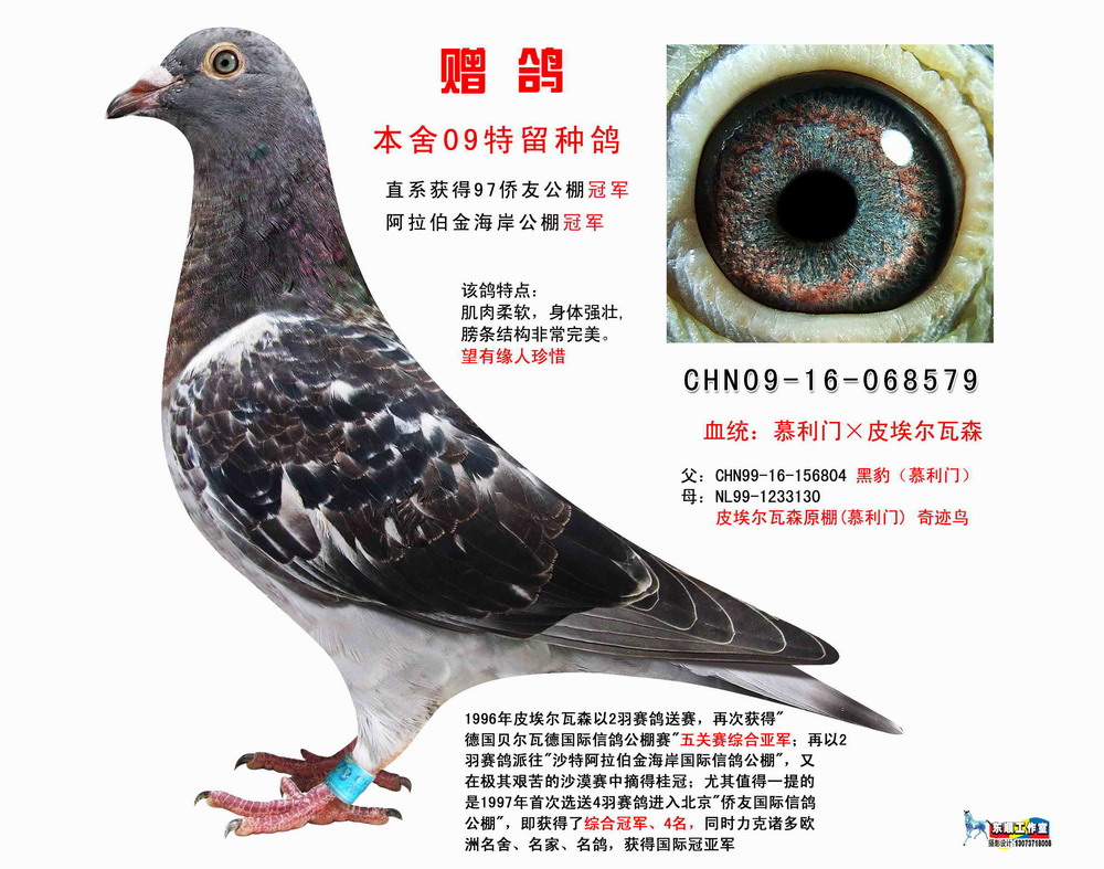 >> 查看拍卖商品