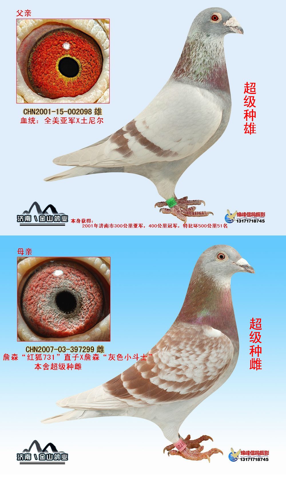 全美亚军x詹森"红狐" 保证金级 拍卖