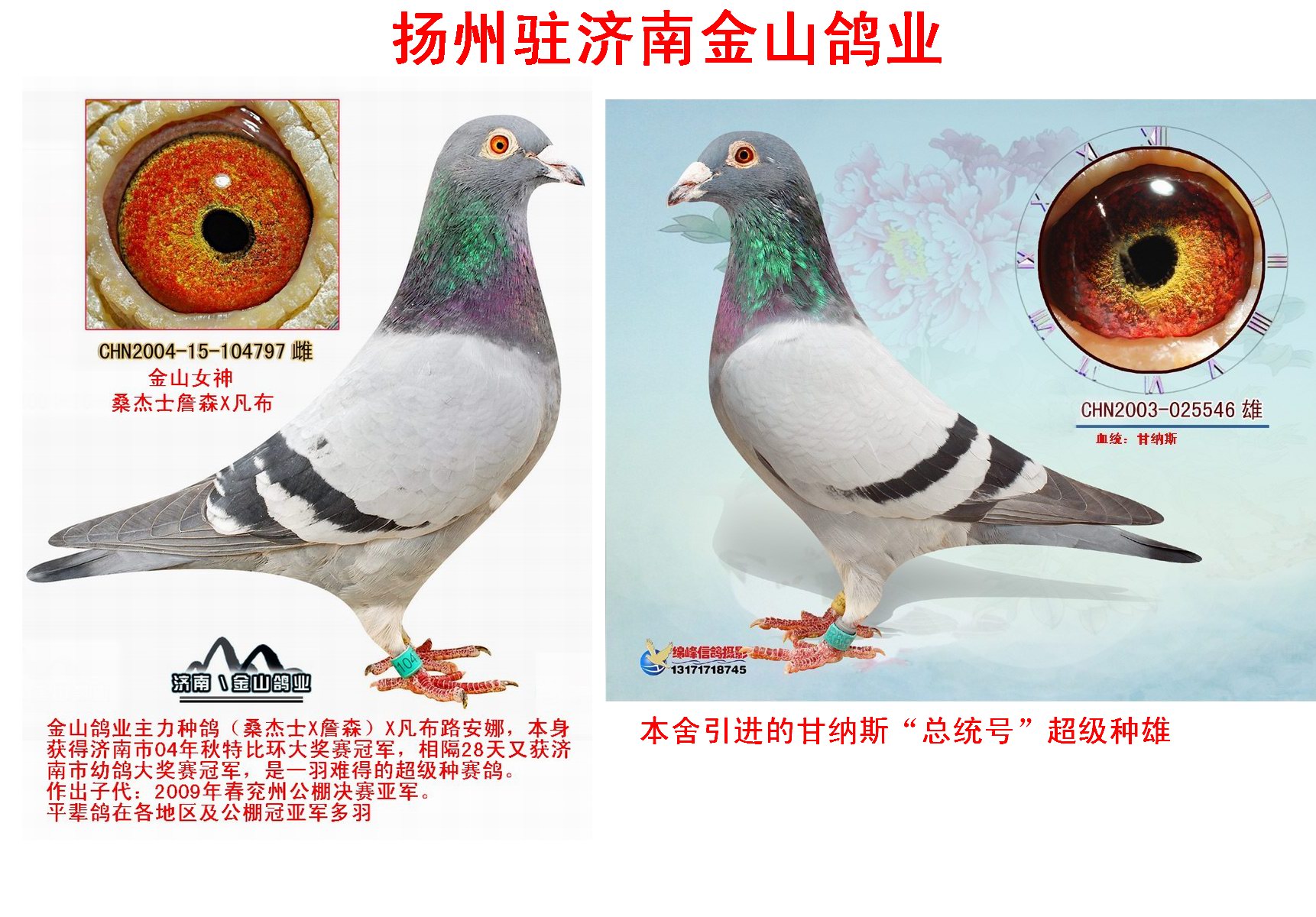 甘纳斯x桑杰士双冠王 保证金级 拍卖